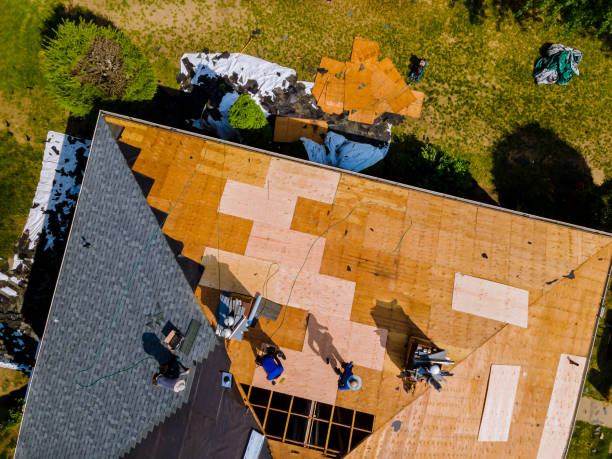 Quick and Trustworthy Emergency Roof Repair Services in Crane, MO