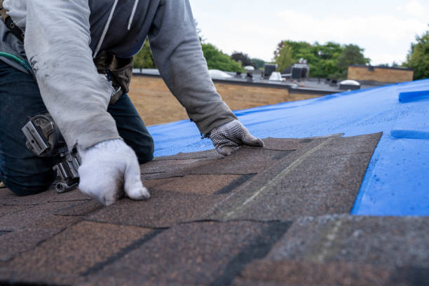 Best Storm Damage Roof Repair  in Crane, MO