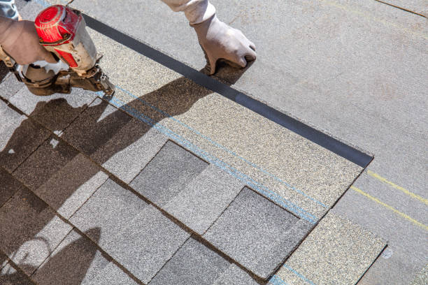 Best Local Roofing Companies  in Crane, MO